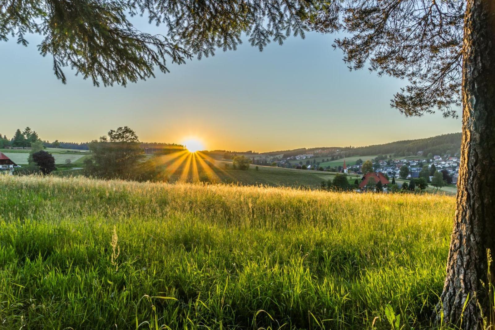 Landhaus Panoramablick Schonach im Schwarzwald 外观 照片