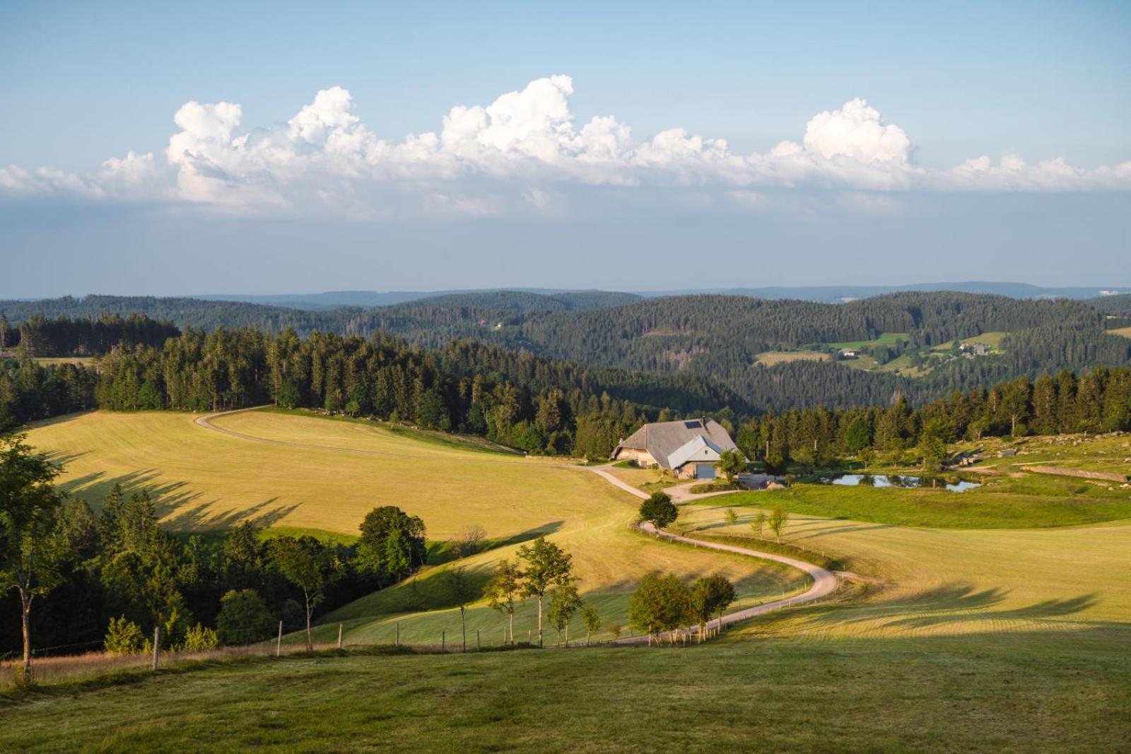 Landhaus Panoramablick Schonach im Schwarzwald 外观 照片