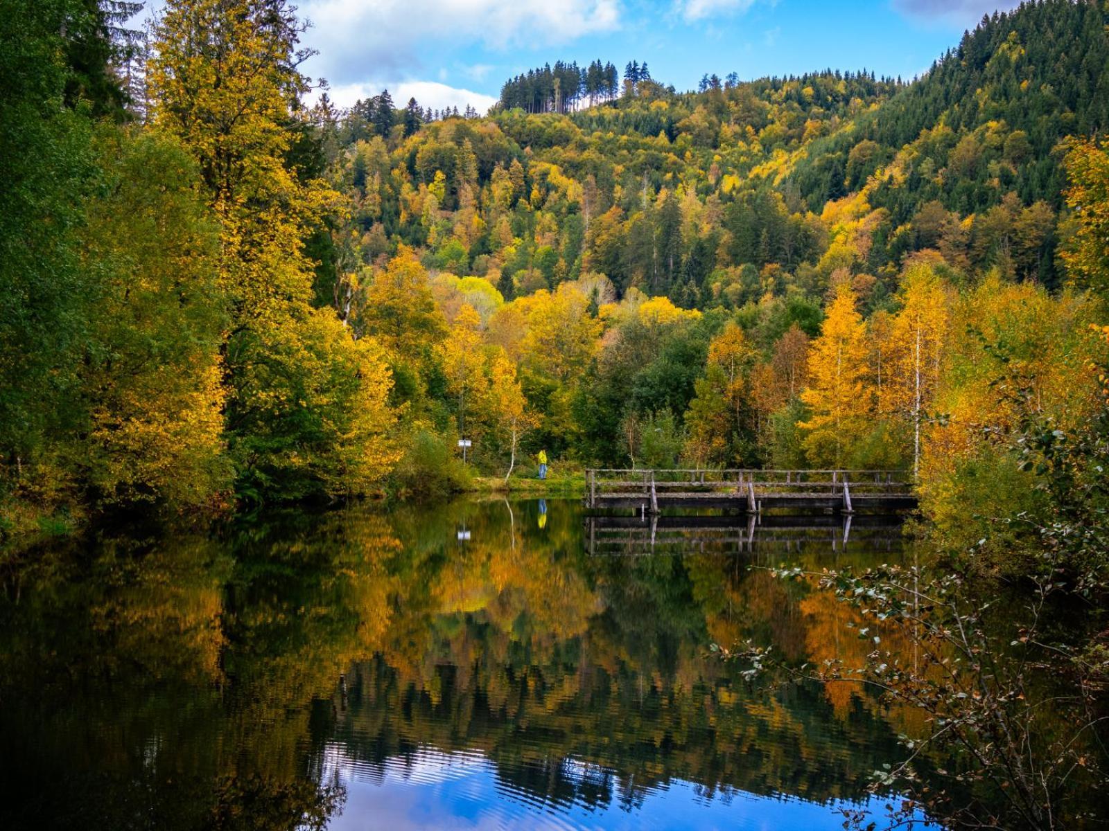 Landhaus Panoramablick Schonach im Schwarzwald 外观 照片