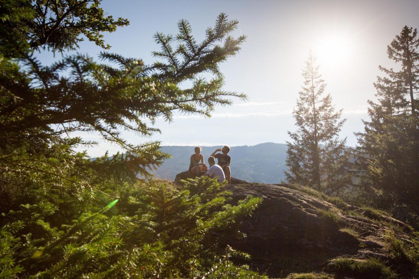 Landhaus Panoramablick Schonach im Schwarzwald 外观 照片